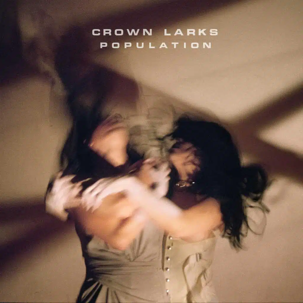Crown Larks