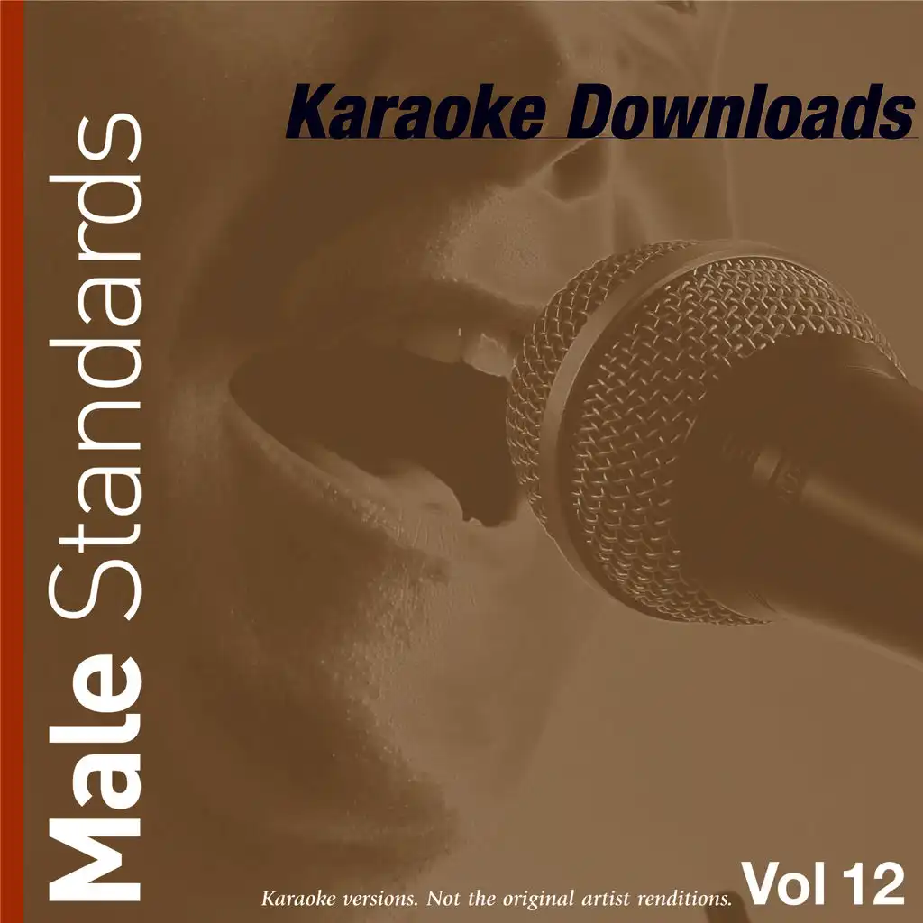 Karaoke Downloads - Male Standards Vol.12