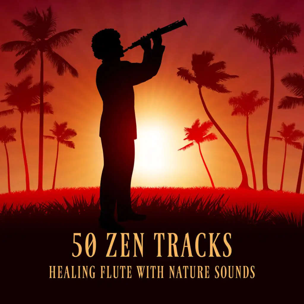 50 Zen Tracks