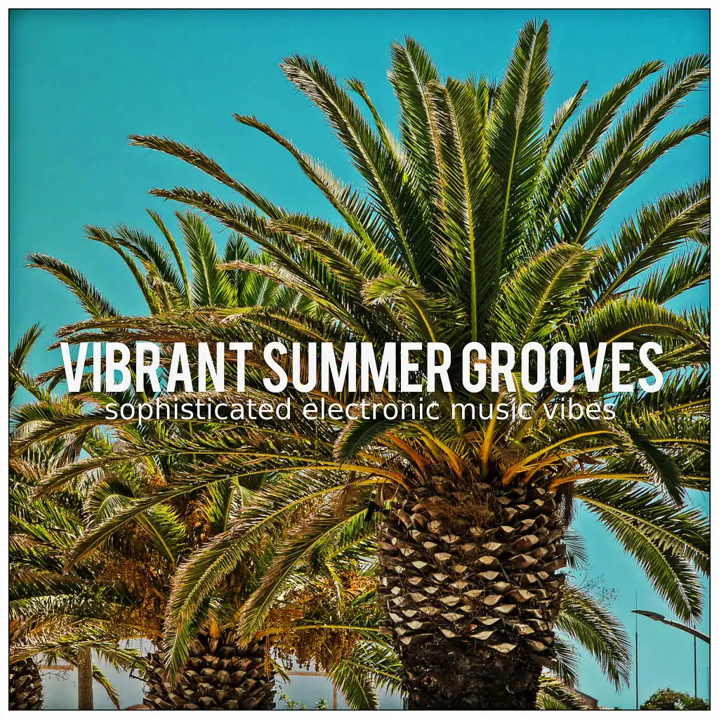 Vibrant Summer Grooves