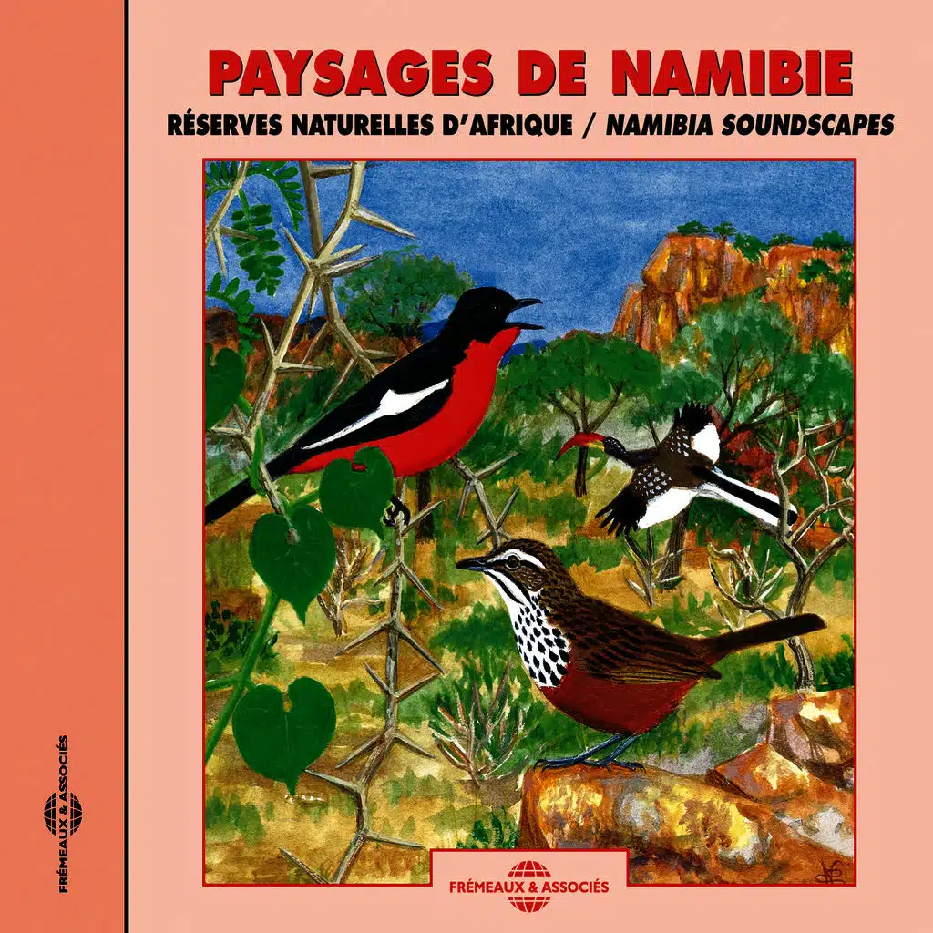 Namibia Sounds Of Natures