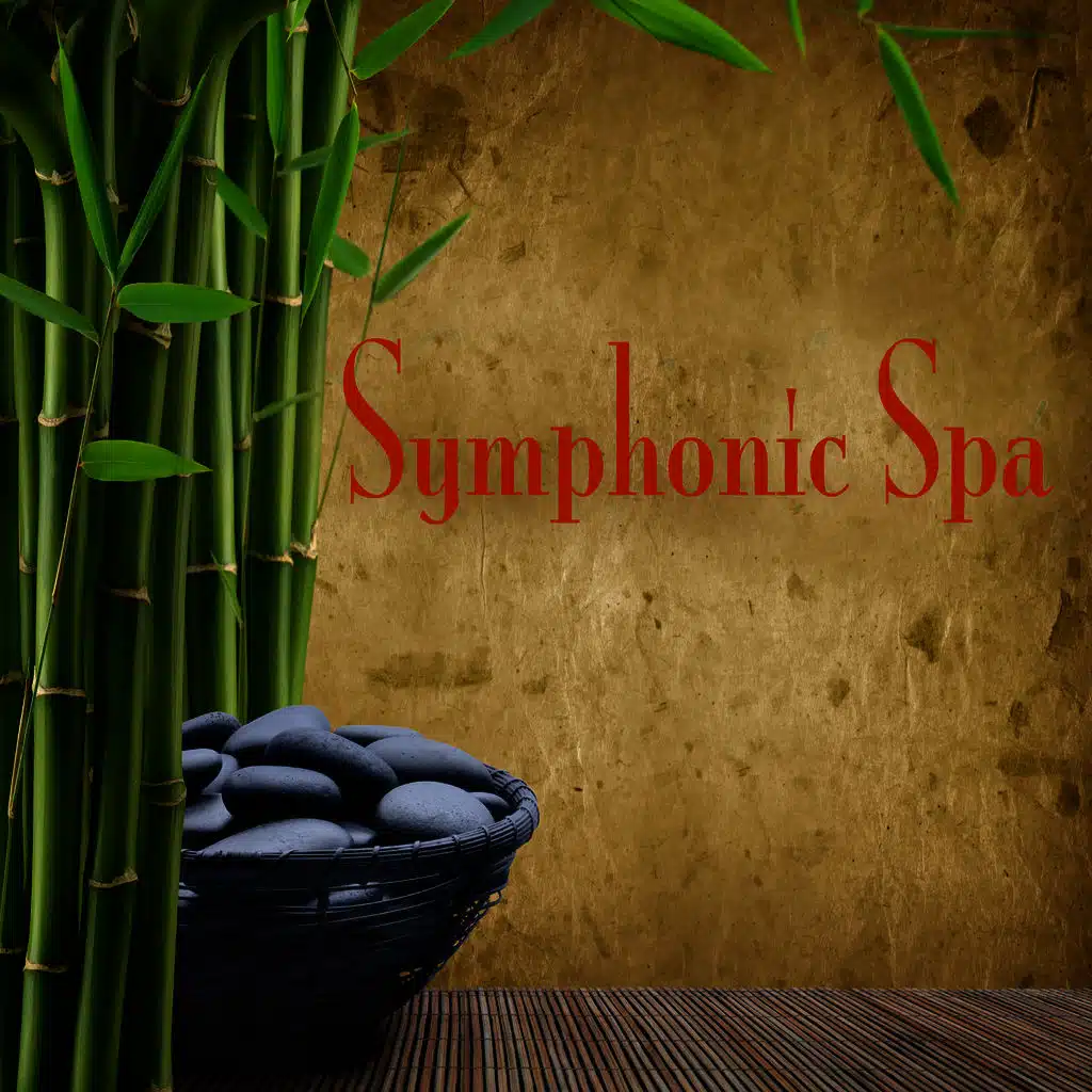 Adagio For Strings Op.11