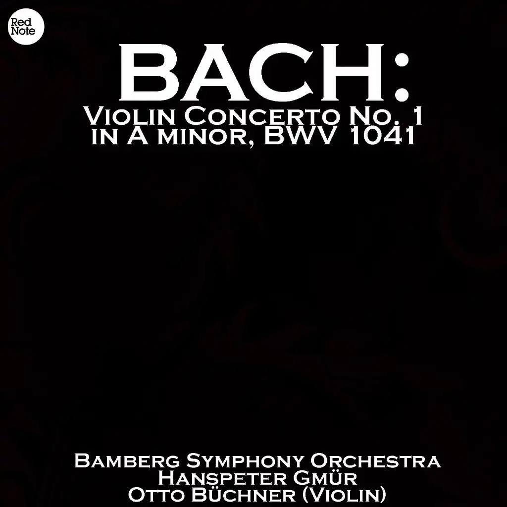 Violin Concerto in A minor, BWV 1041: I. Allegro