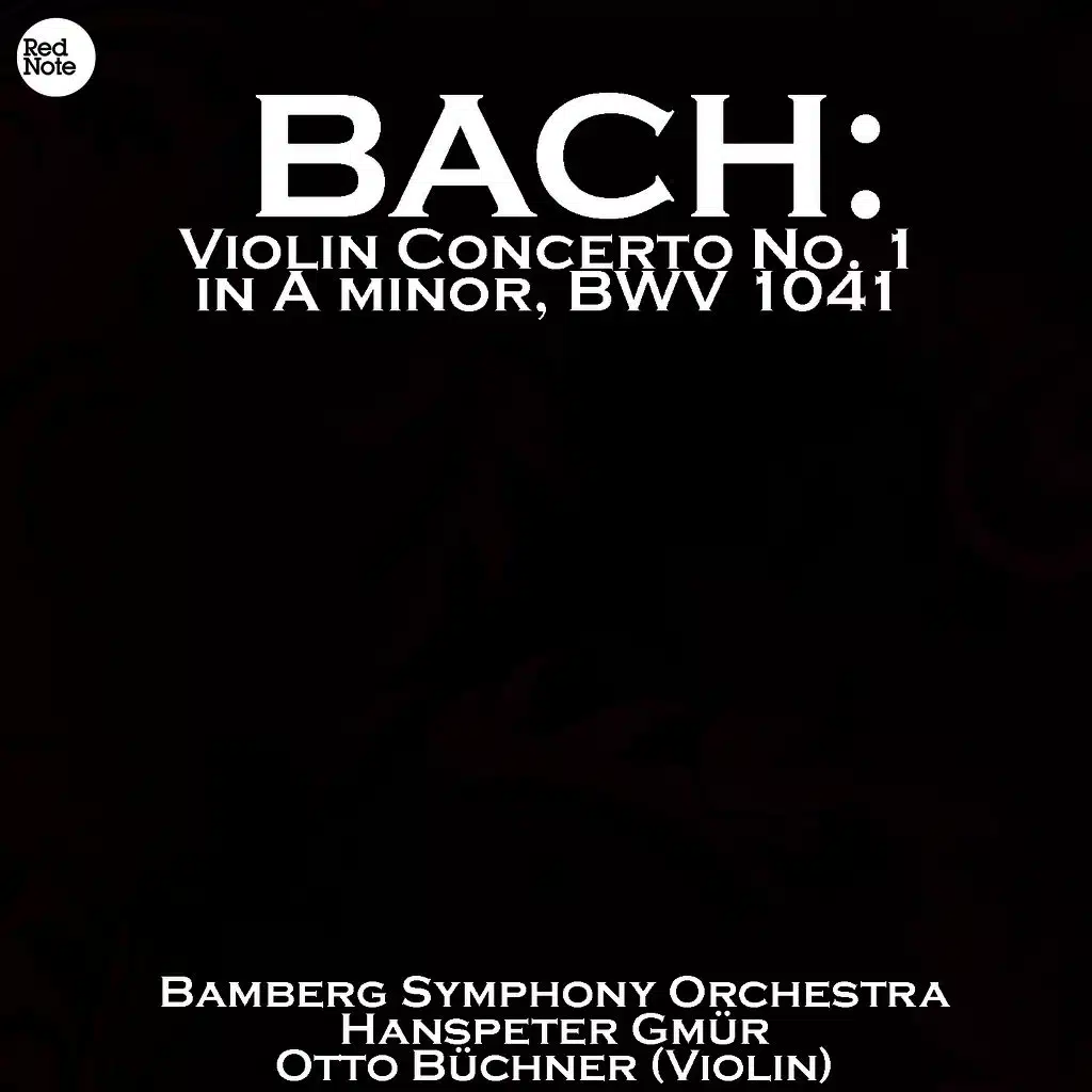 Violin Concerto in A minor, BWV 1041: II. Andante