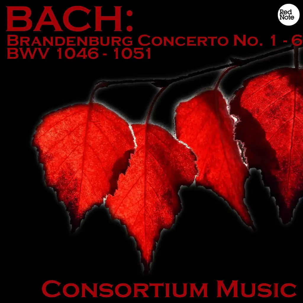 Brandenburg Concerto No. 1 in F major, BWV 1046: I. Allegro moderato