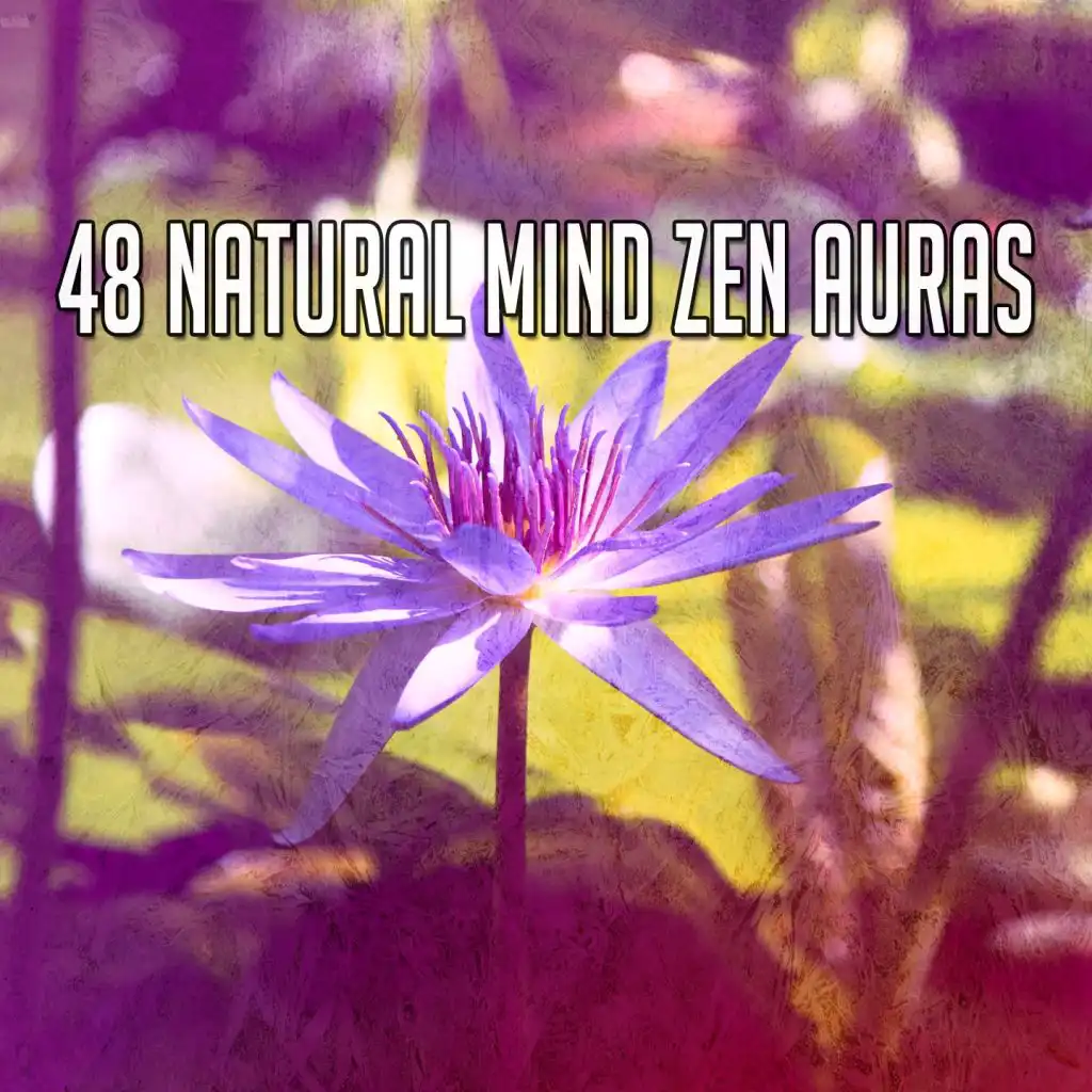 48 Natural Mind Zen Auras