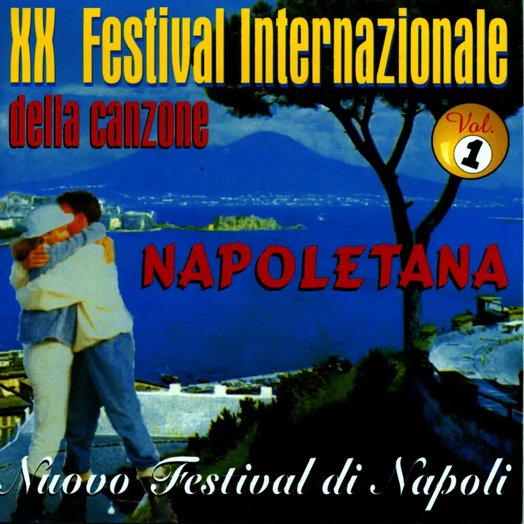 XX Festival Internazionale della Canzone Napoletana Vol. 1