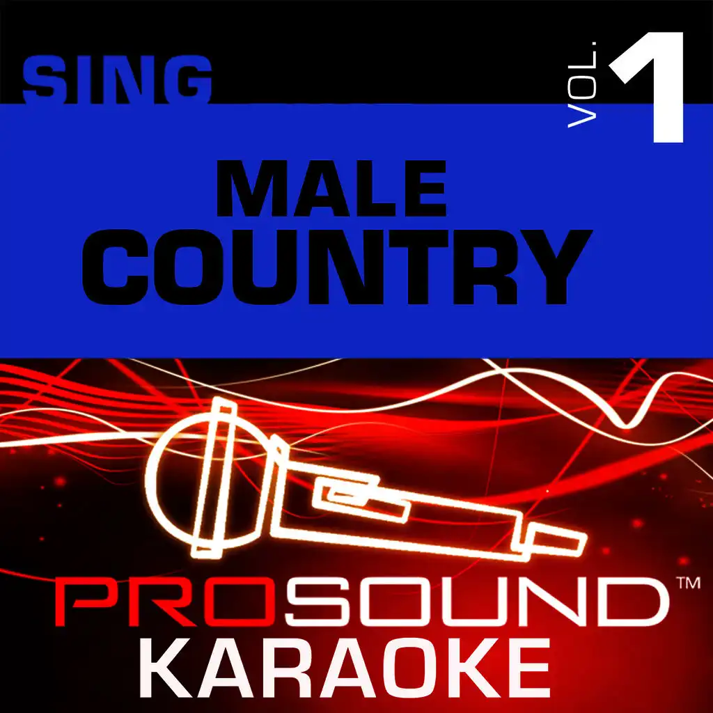 I Believe (Karaoke Lead Vocal Demo) [In the Style of Diamond Rio]