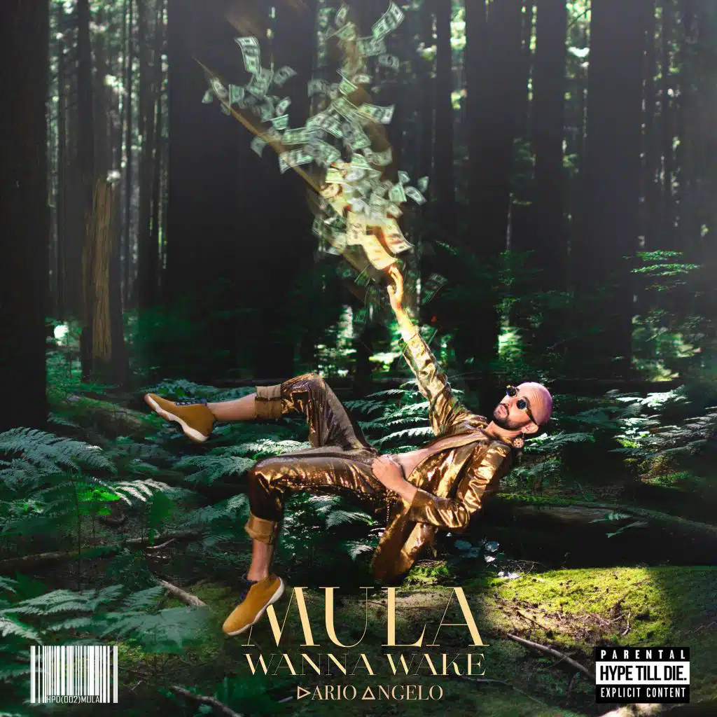 Mula (feat. Dario Angelo)