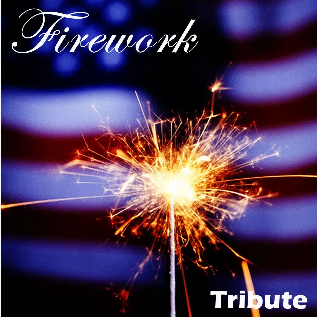 Firework (Salute to Katy Perry)