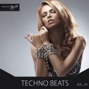 Techno Beats, Vol.29
