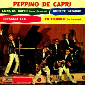 Vintage Pop No. 161 - EP: Luna Caprese
