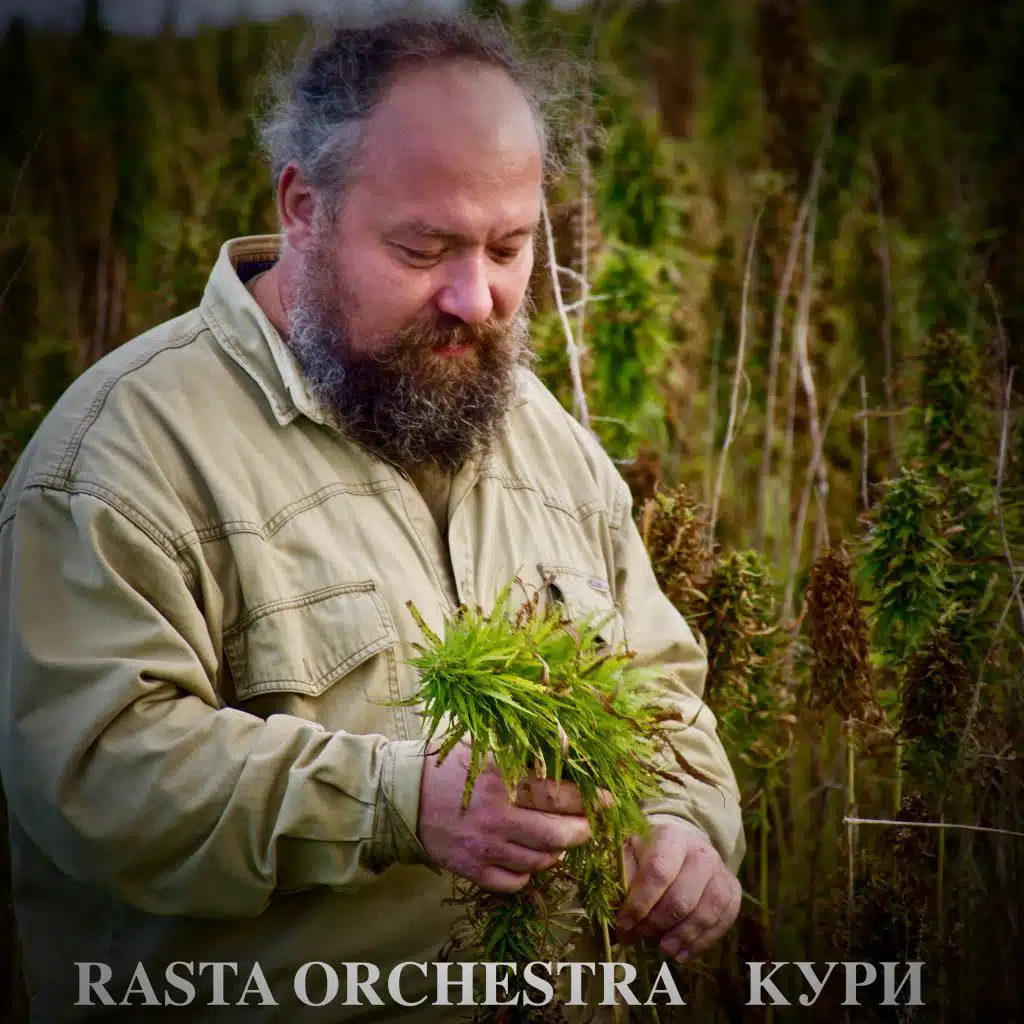 Кури