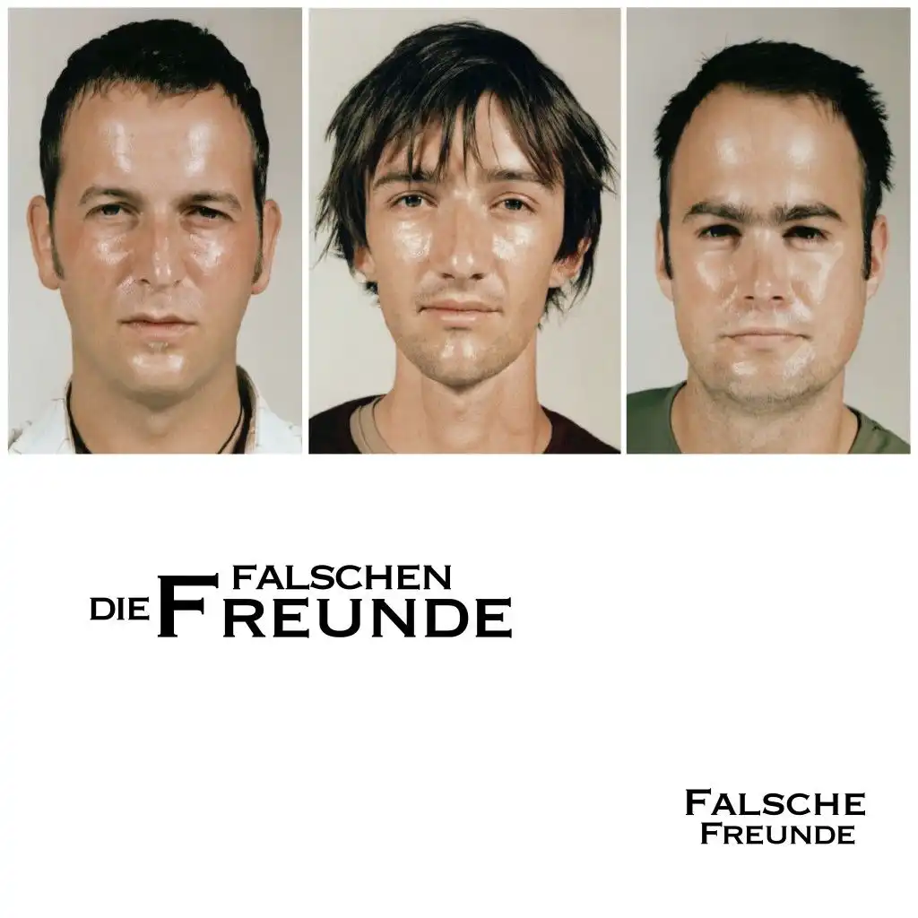 Falsche Freunde (V2 - Mix)