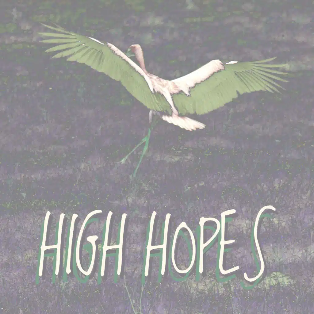 High Hopes