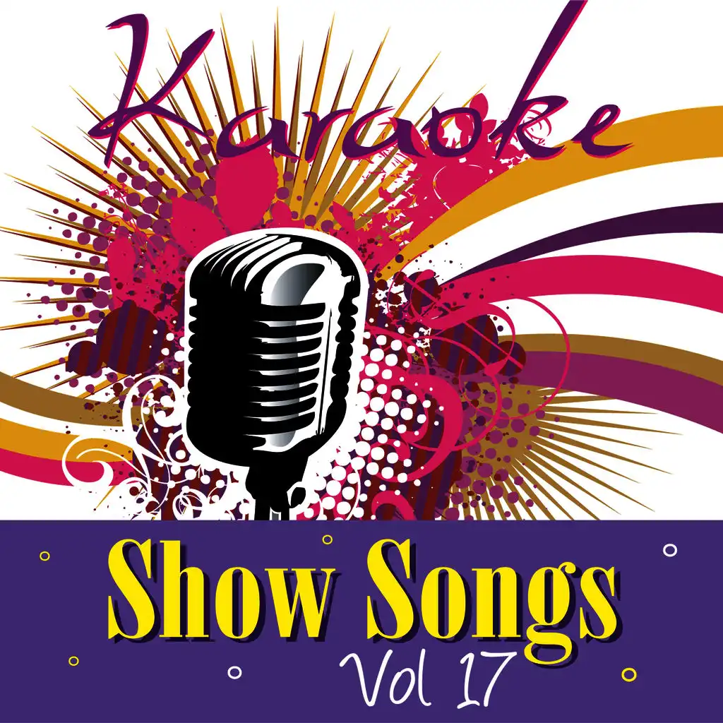 Karaoke - Show Songs Vol.17