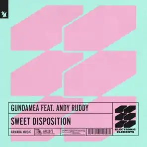 Sweet Disposition (Dub Mix) [feat. Andy Ruddy]