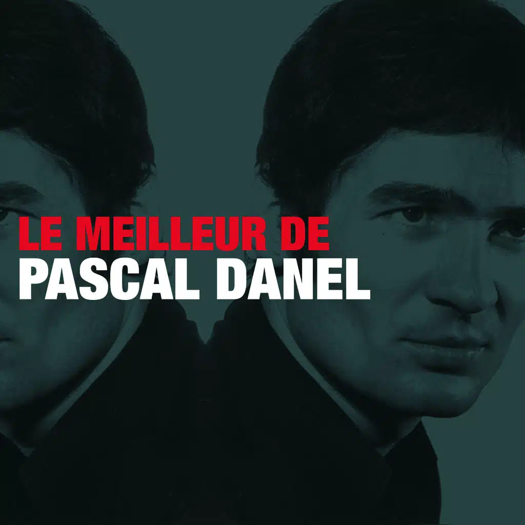 Le Meilleur De Pascal Danel