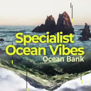 Specialist Ocean Vibes