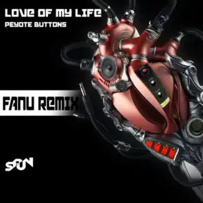 LOVE OF MY LIFE (FANU REMIX)