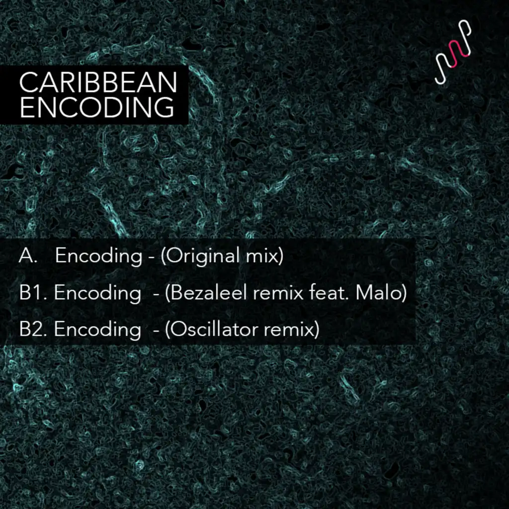 Encoding (feat. Malo)