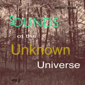 Sounds of the Unknown Universe: Vol.1