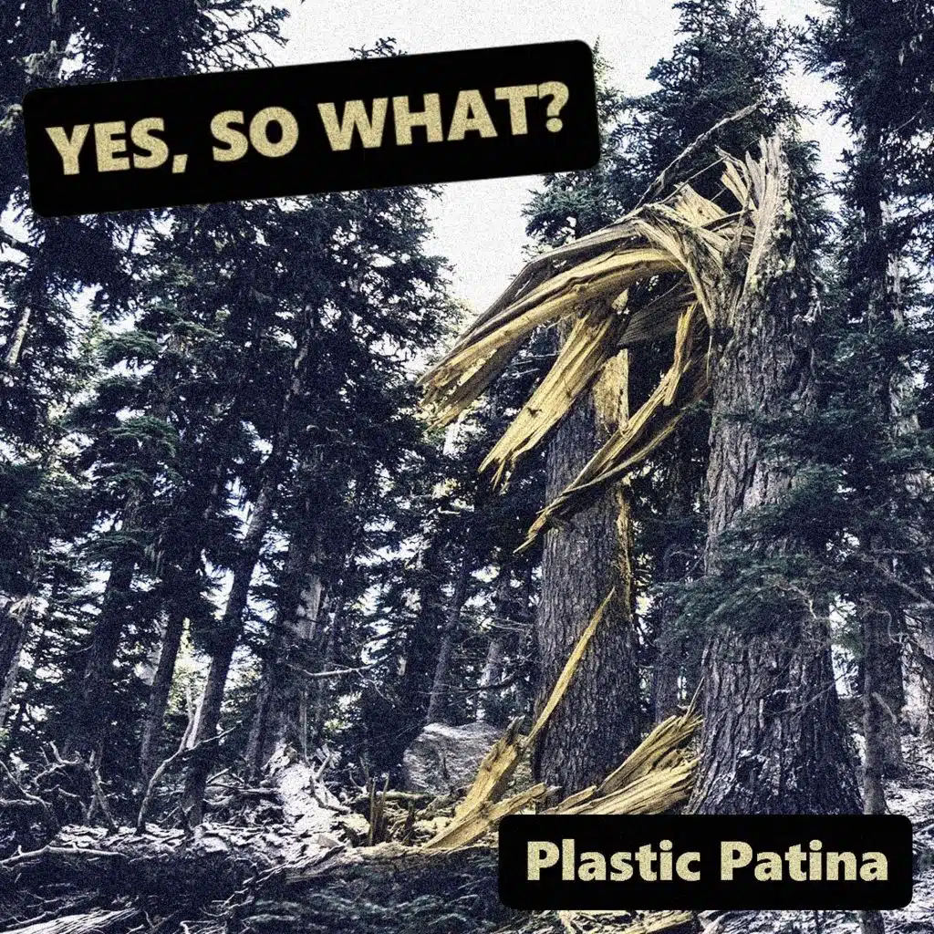 Yes, So What?