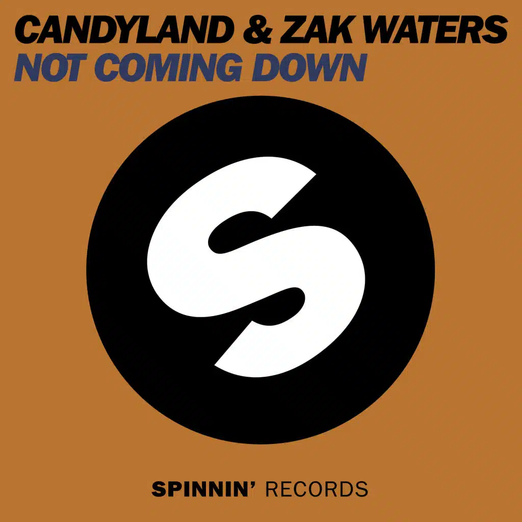 Not Coming Down (Remixes)