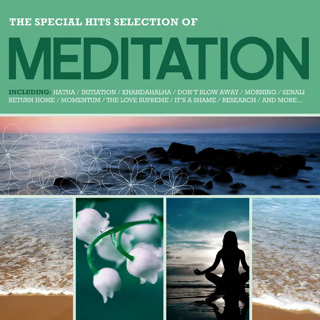 Meditation: The Special Hits Selection