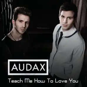 Teach Me How to Love You (Hoxton Whores Vocal Remix)