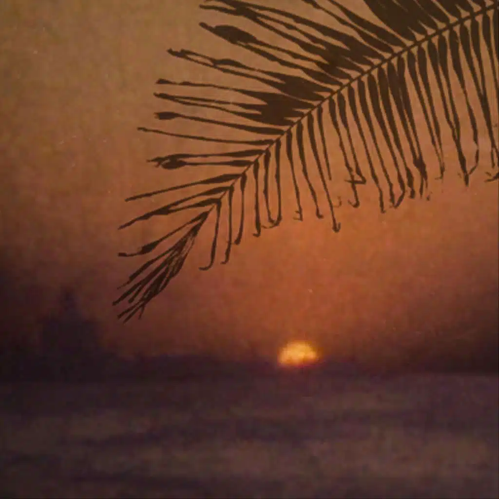 Sueño Tropical