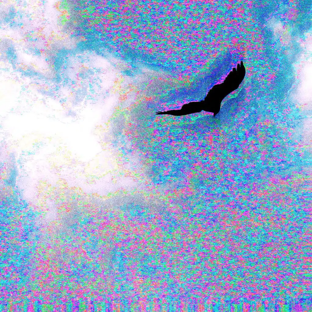 Nosedive