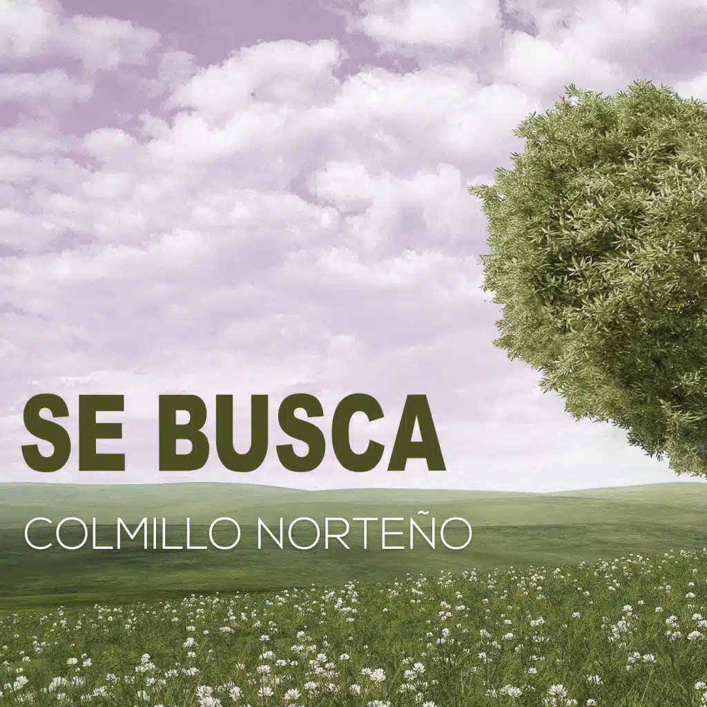 Se Busca (Versión Pop)