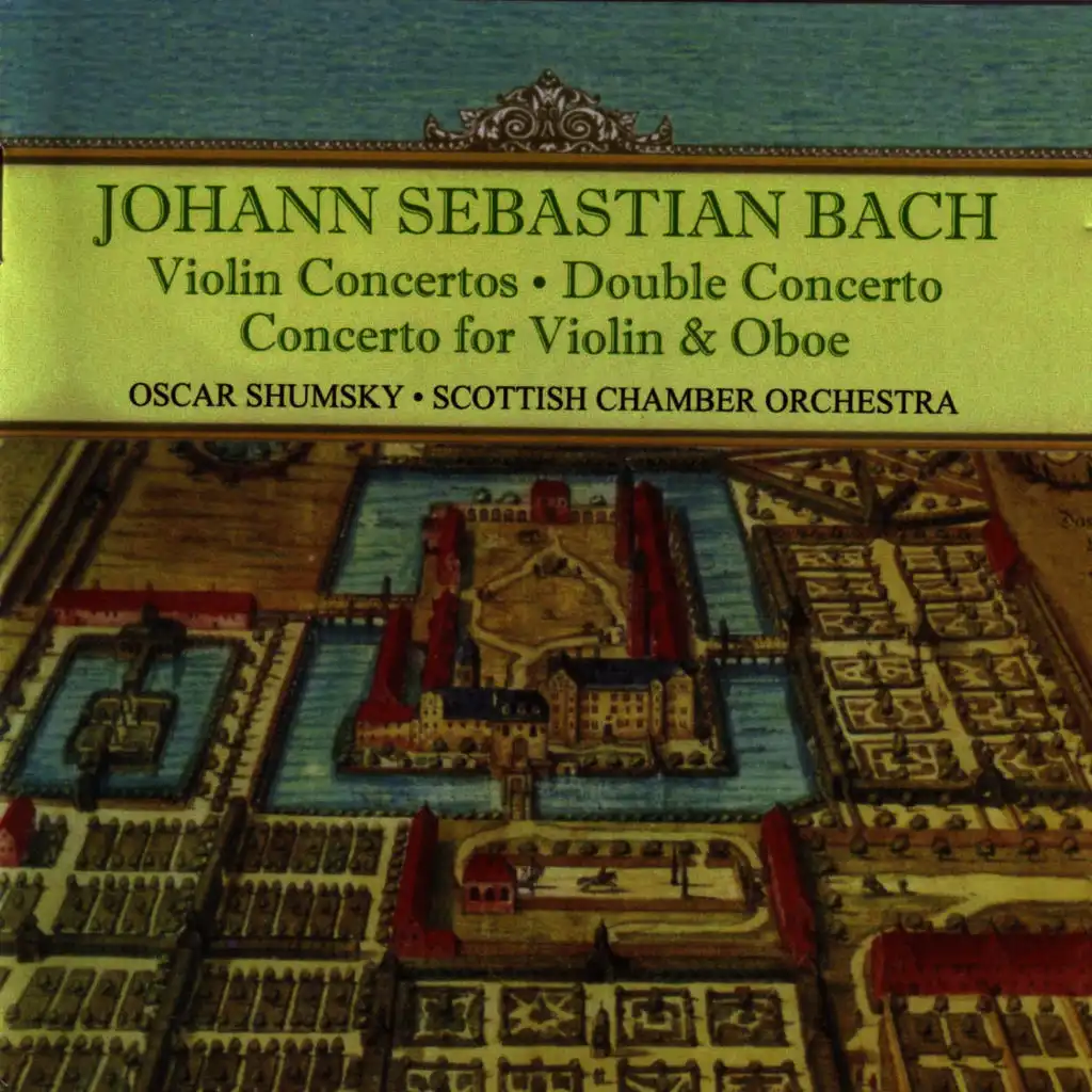 Violin Concerto in A minor, BWV 1041: II. Andante