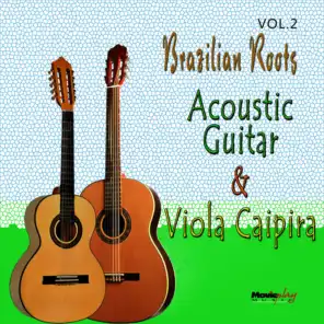 Acoustic Guitar e Viola, Vol.2
