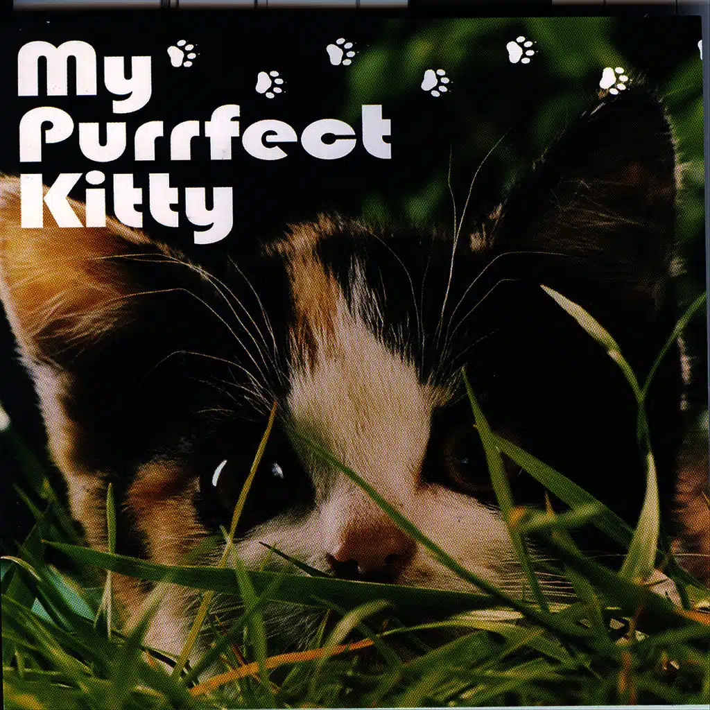 Put A Little Love In Your Heart