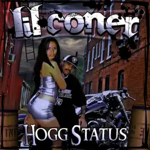Hogg Status