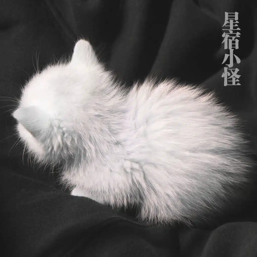 星宿小怪