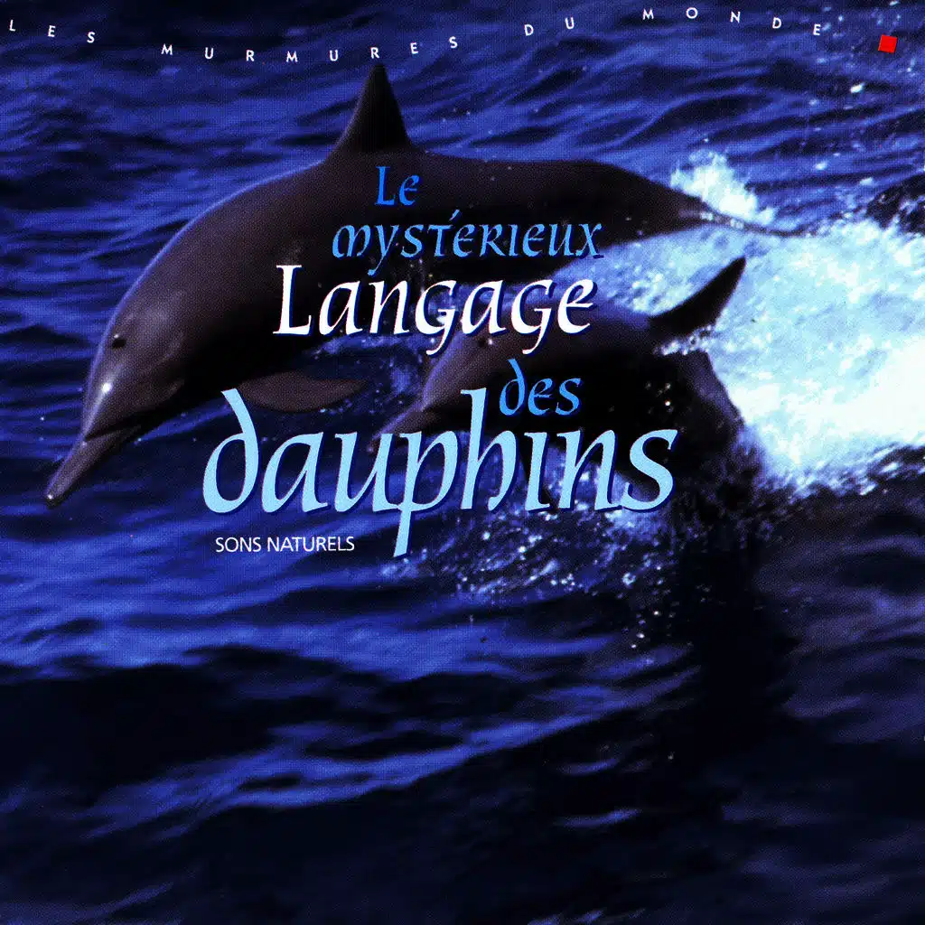Le Mysterieux Langage Des Dauphins