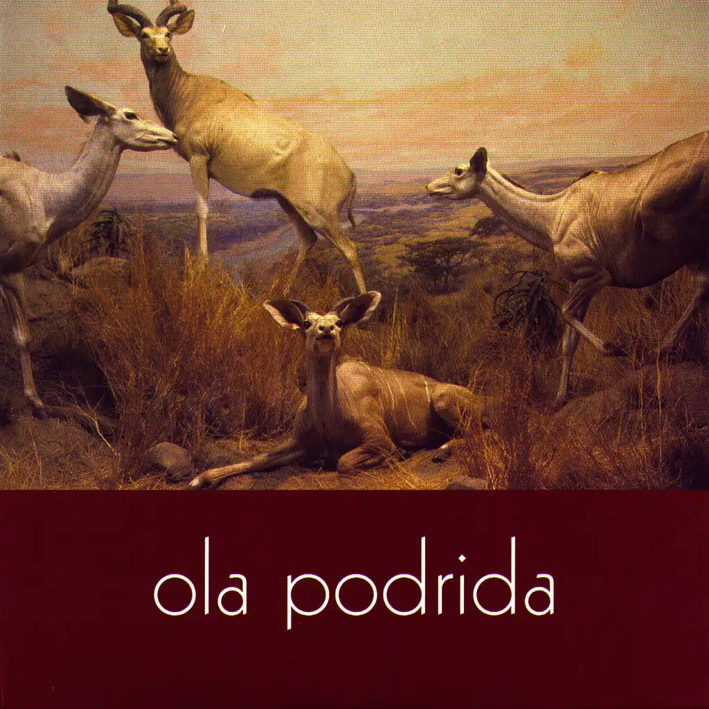 Ola Podrida