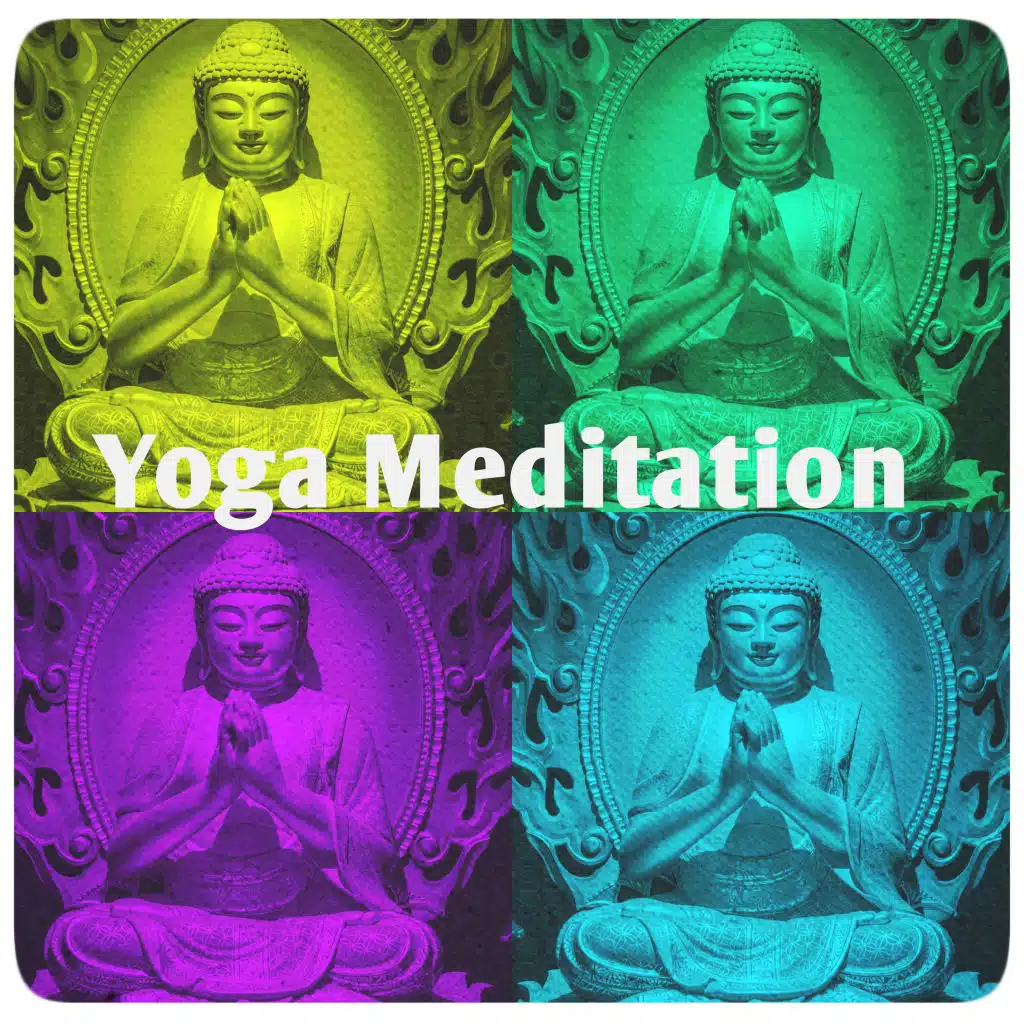 OM Yoga Meditation