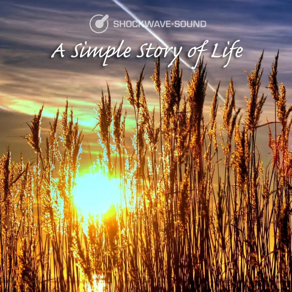 Wonderful Journey