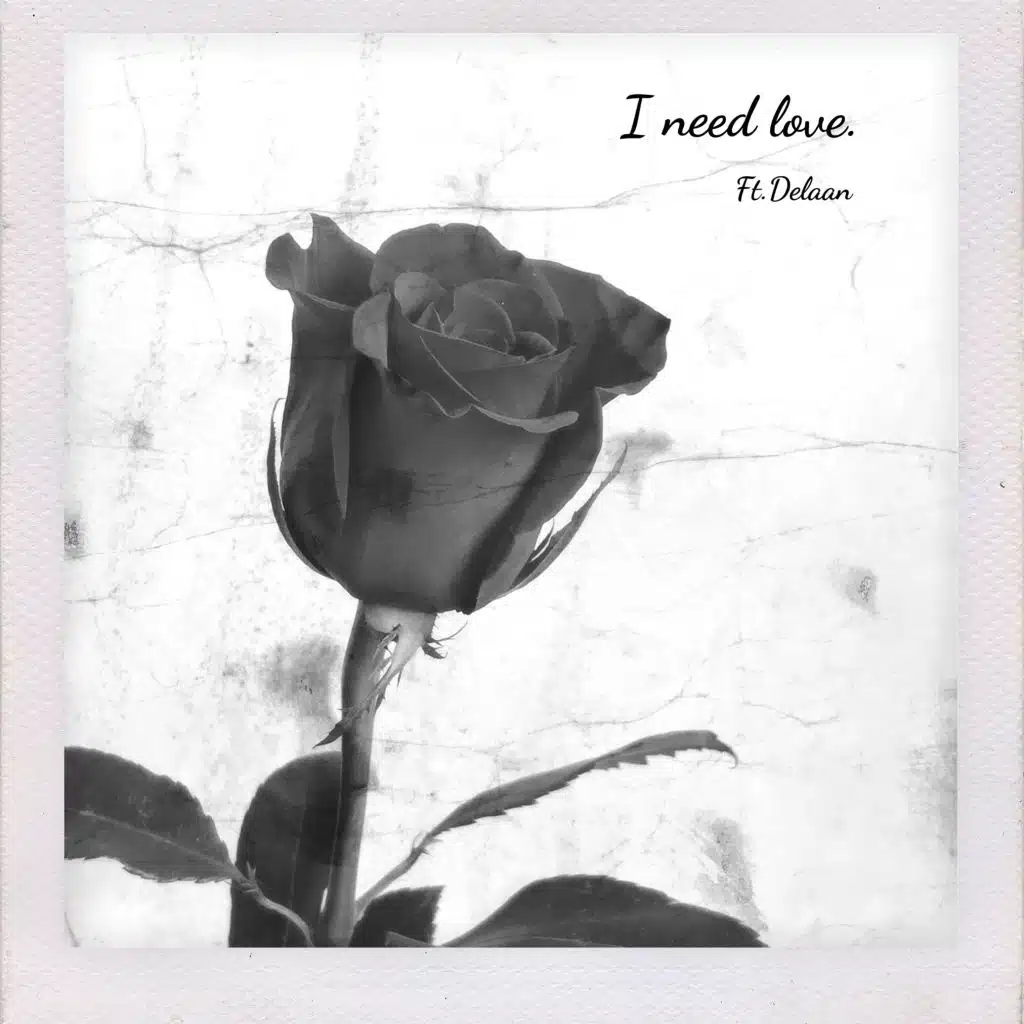 I Need Love (feat. Delaan)