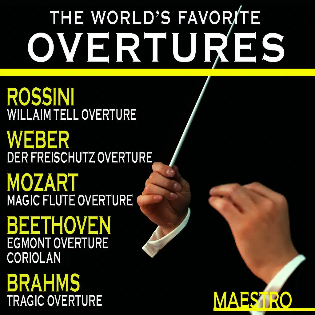 Magic Flute Overture