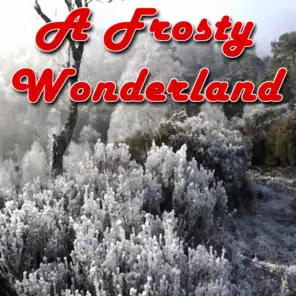 A Frosty Wonderland
