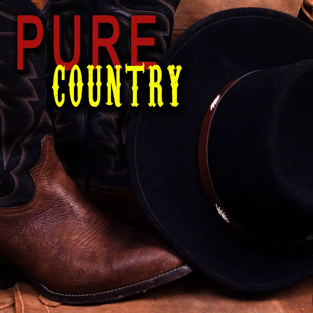 Last Cheater's Waltz (Re-Recorded Version)