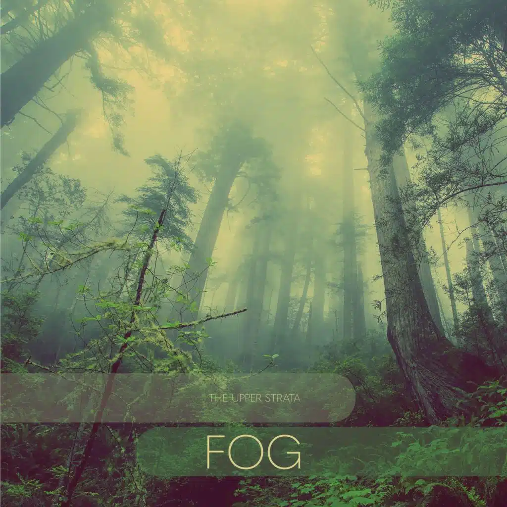 Fog