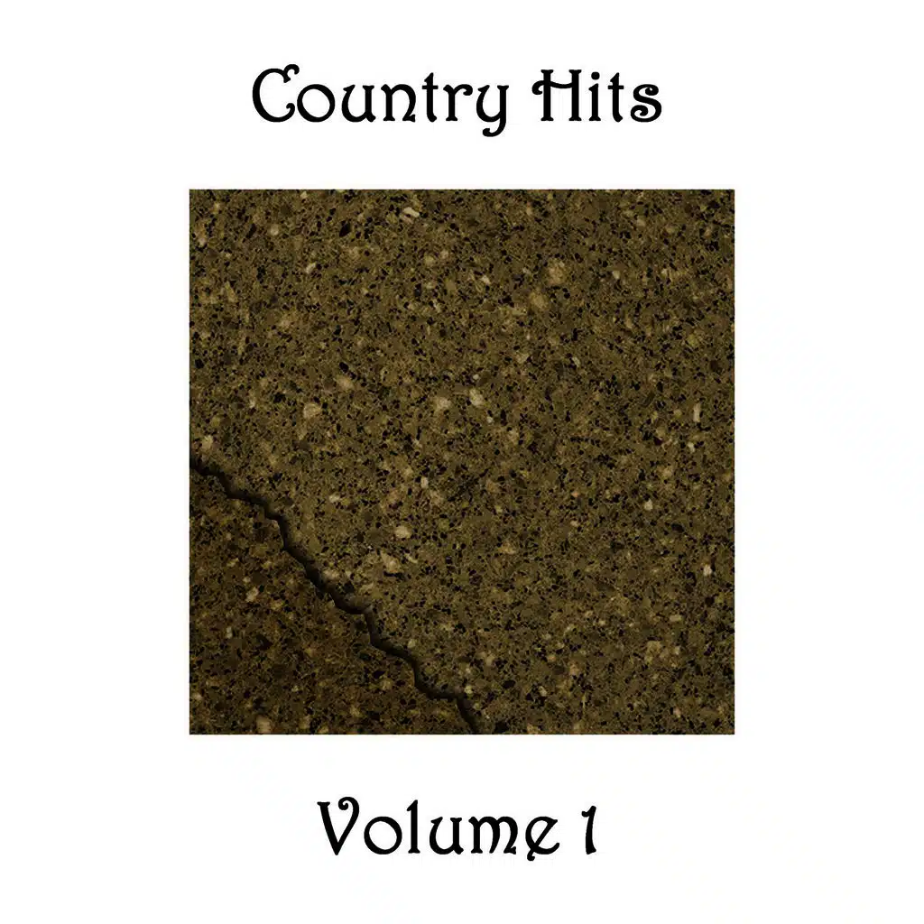 Country Hits - Volume 1