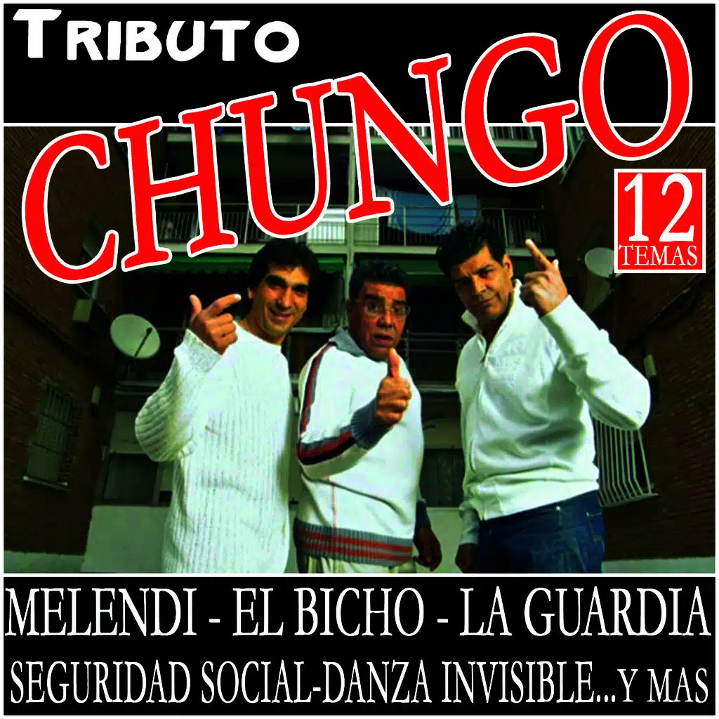 Los Chunguitos & Danza Invisible