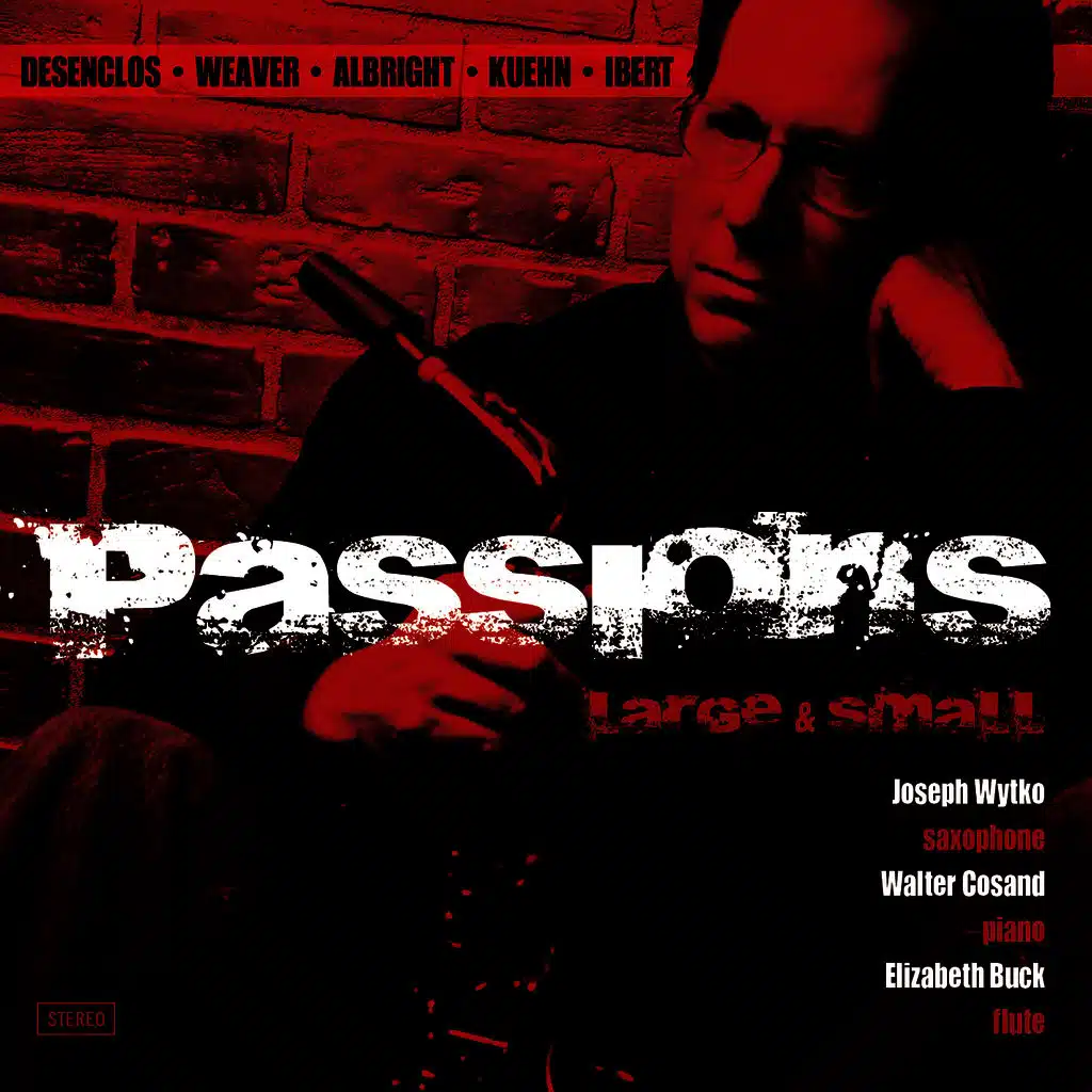 Concertino da Camera- 2. Larghetto–Animato molto